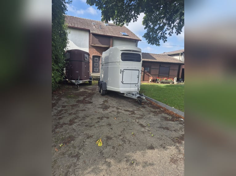 WESTFALIA Pferdeanhänger  mit neuem TÜV 