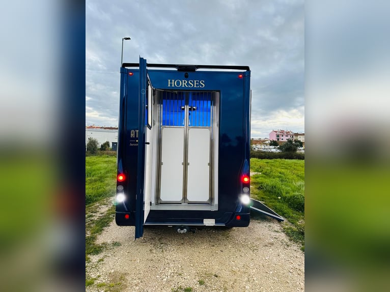 Zum verkaufen Pferdetransporter Renault ATM Haras / 5-Sitzer NEW