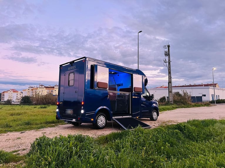 Zum verkaufen Pferdetransporter Renault ATM Haras / 5-Sitzer NEW