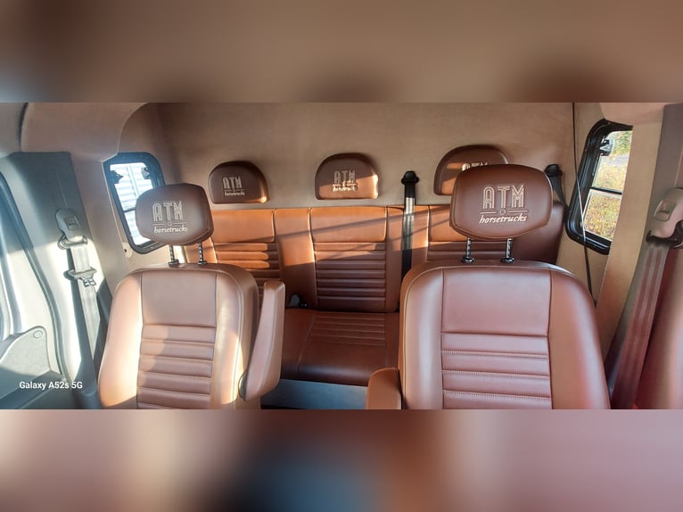 Zum verkaufen Pferdetransporter Renault ATM Haras / 5-Sitzer NEW