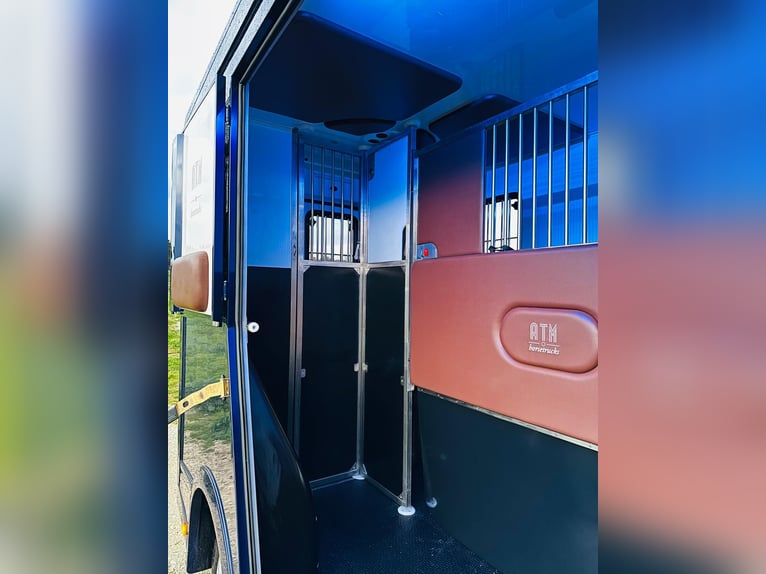 Zum verkaufen Pferdetransporter Renault ATM Haras / 5-Sitzer NEW