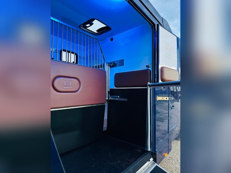 Zum verkaufen Pferdetransporter Renault ATM Haras / 5-Sitzer NEW