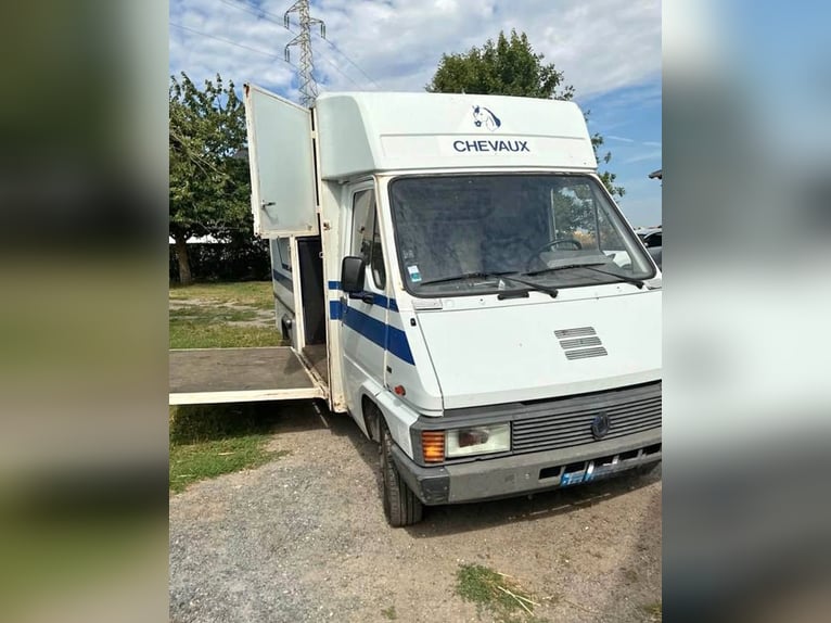 DON vom Pferd, geboren 1990, Renault Master