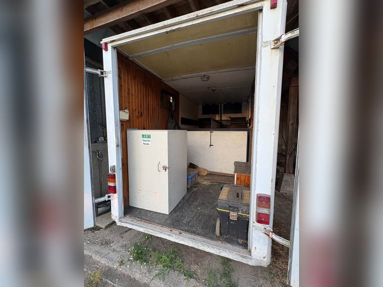 DON vom Pferd, geboren 1990, Renault Master