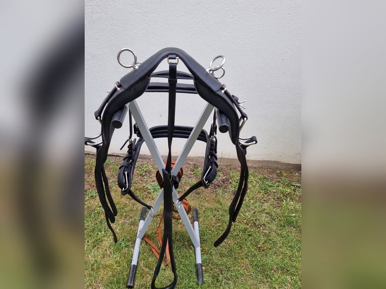 Einspänner Brustblatt-Kutschgeschirr der Sattlerei Meinecke für Warmblut. 