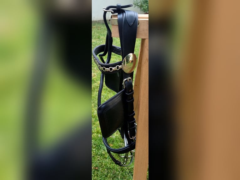 Marathonhauptgestell - Sattlerei Meinecke Warmblut