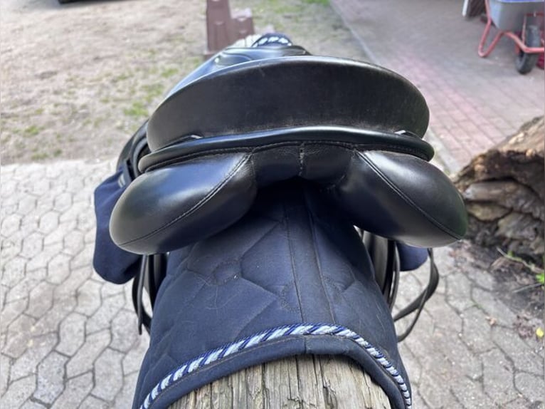 Passier Pollux 17“ Dressursattel