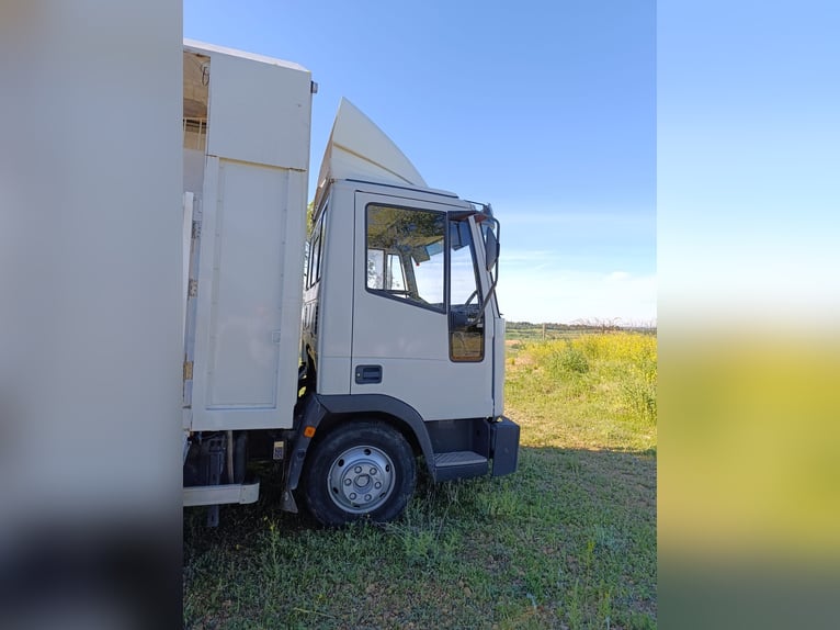 Transporter für 3 Pferde