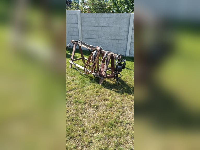 Uprząż konna szory puszorek horse harness