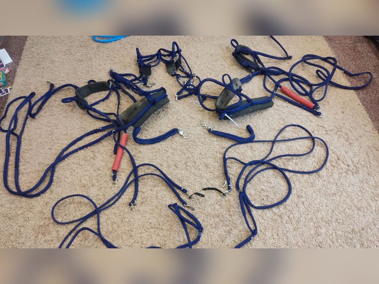  Zweispänner Pony Geschirr von Sieltec 