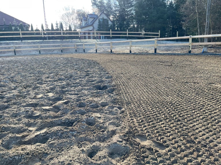 Reitplatzplaner für Reitplatz- und Reithallenböden, Rasen- und Sandplätze, Hunter 2,0 m, Gummirad