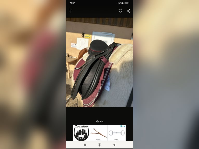 Sattel kieffer wie neu 17 Zoll