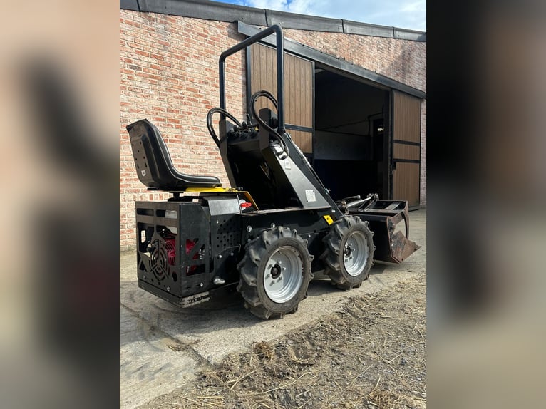 Mini-Lader (2021)