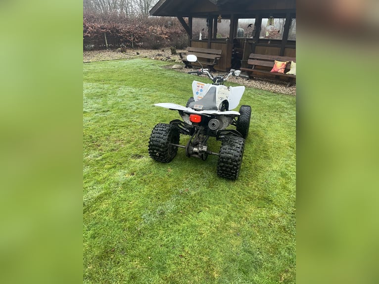 Yamaha Raptor 250