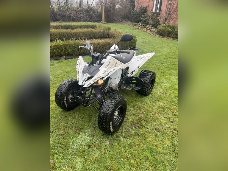 Yamaha Raptor 250