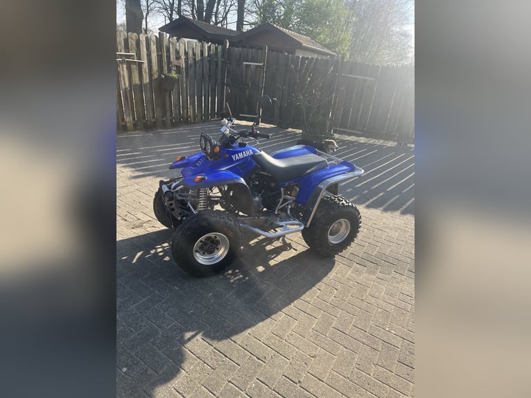 Yamaha Warrior 350