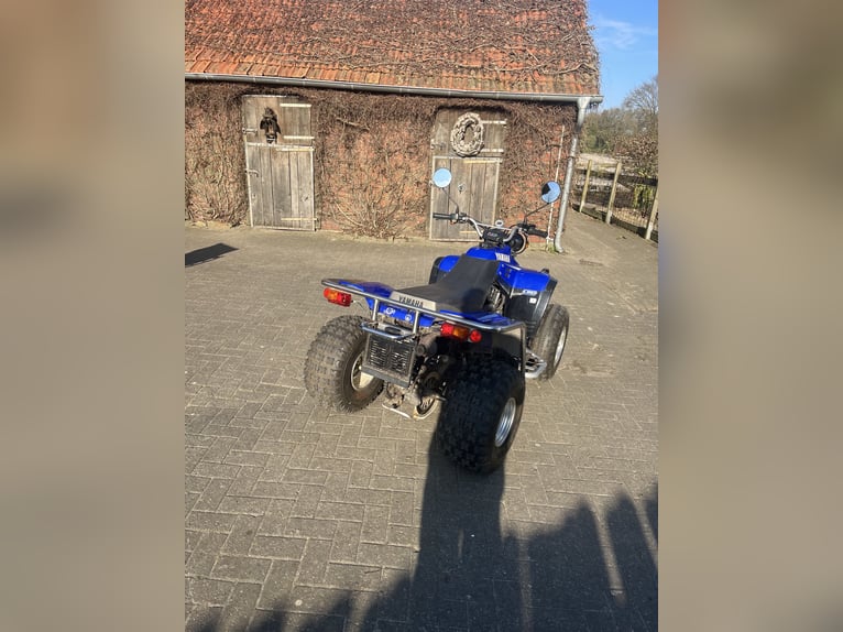 Yamaha Warrior 350