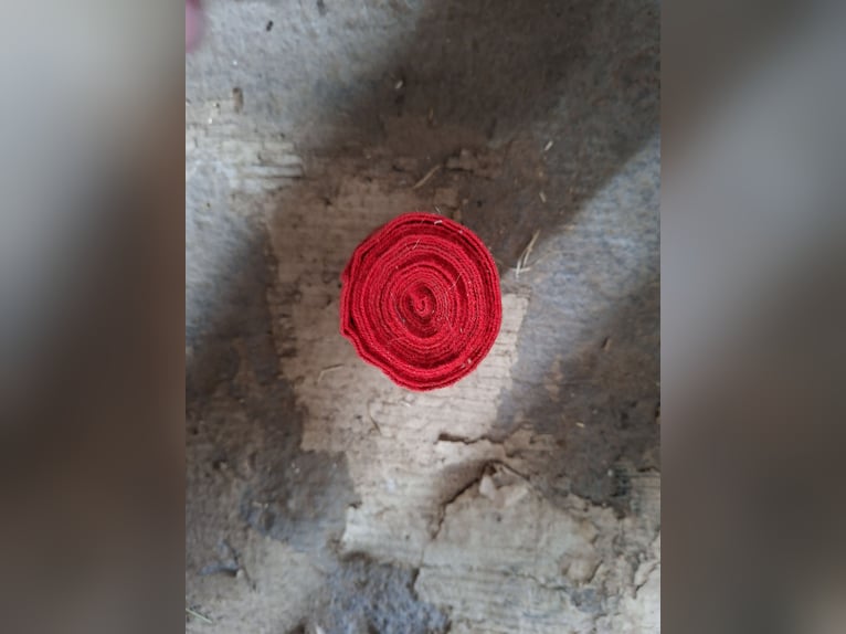 Bandage Rot - Einzelstück
