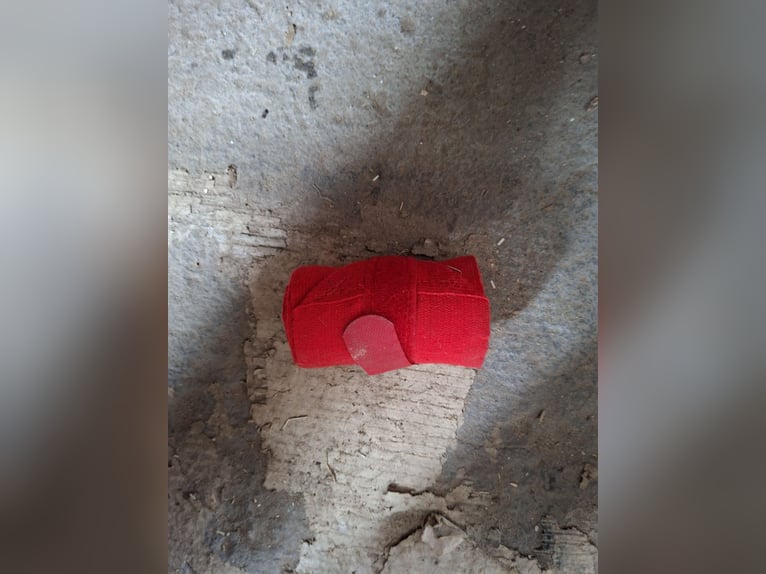 Bandage Rot - Einzelstück
