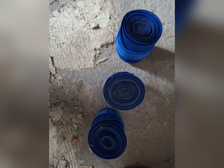 Bandagen Blau - 3er-Set