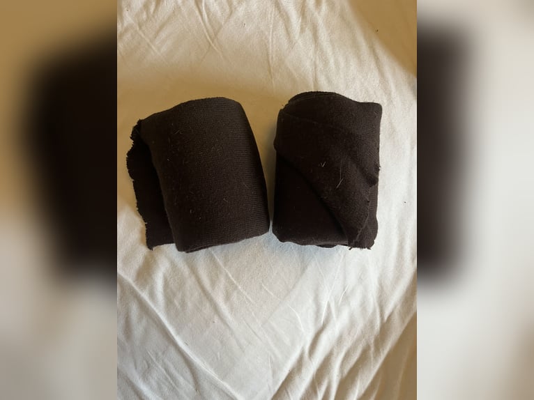 Bandagen Set in verschiedenen Farben