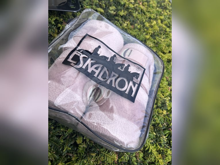 Eskadron Bandagen