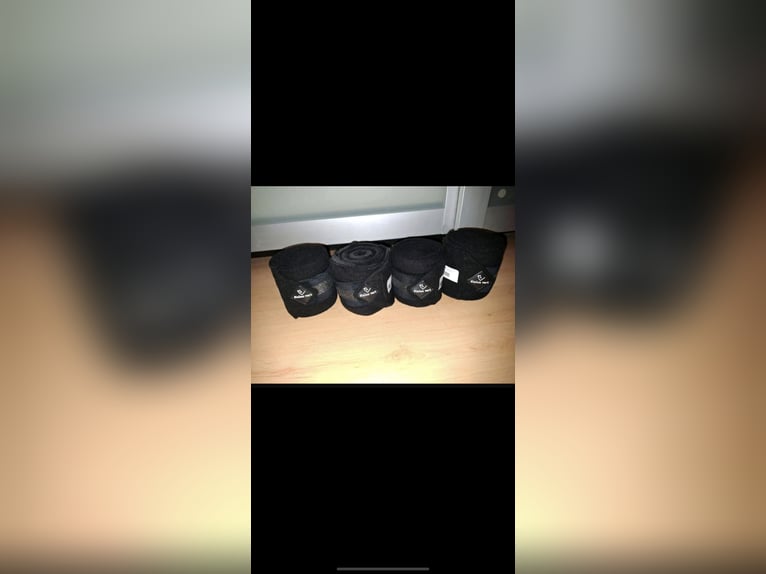 Etalon Vert Bandagen