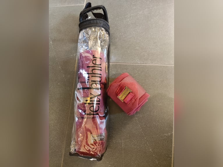 Felix Bühler Bandagen 