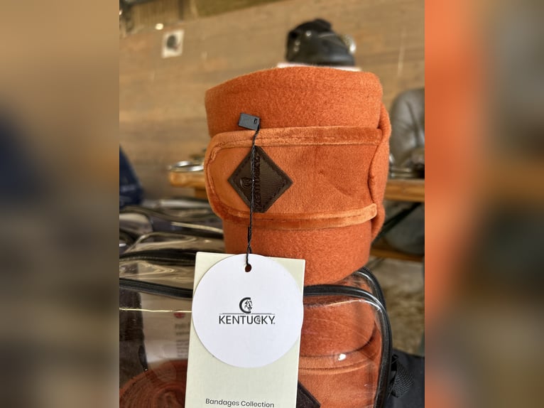 Kentucky Bandagen velvet