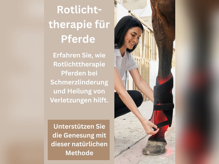  2 Stück Rotlicht Gamaschen