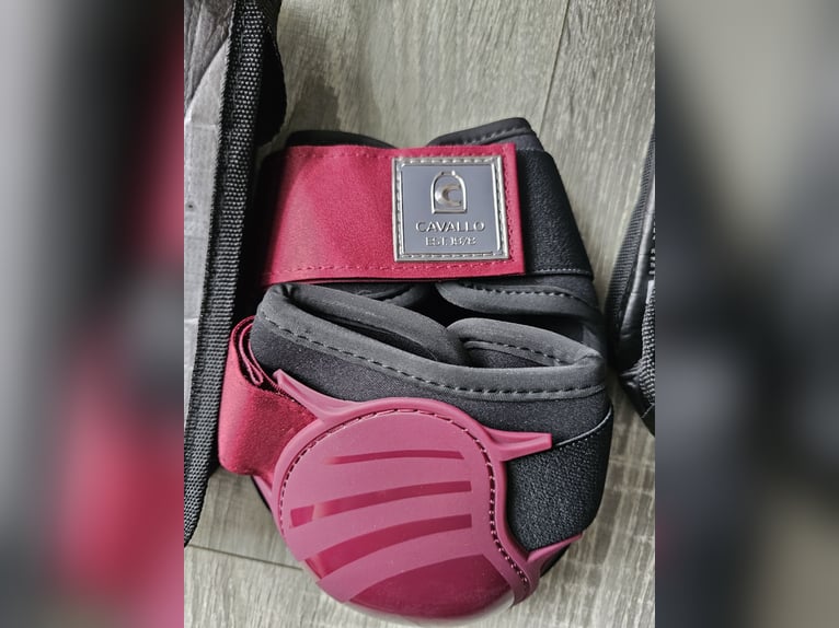 Cavallo Gamaschen  und Streichkappen *Neu*