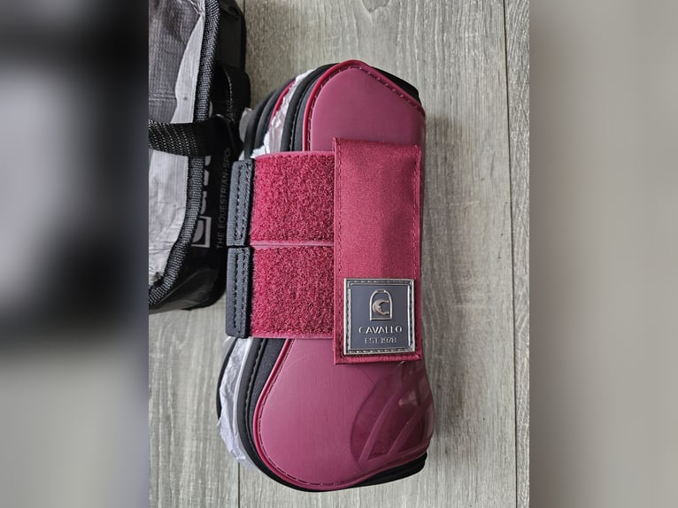 Cavallo Gamaschen  und Streichkappen *Neu*