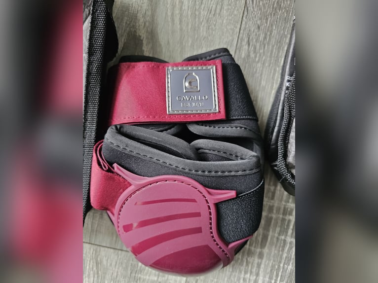 Cavallo Gamaschen  und Streichkappen *Neu*