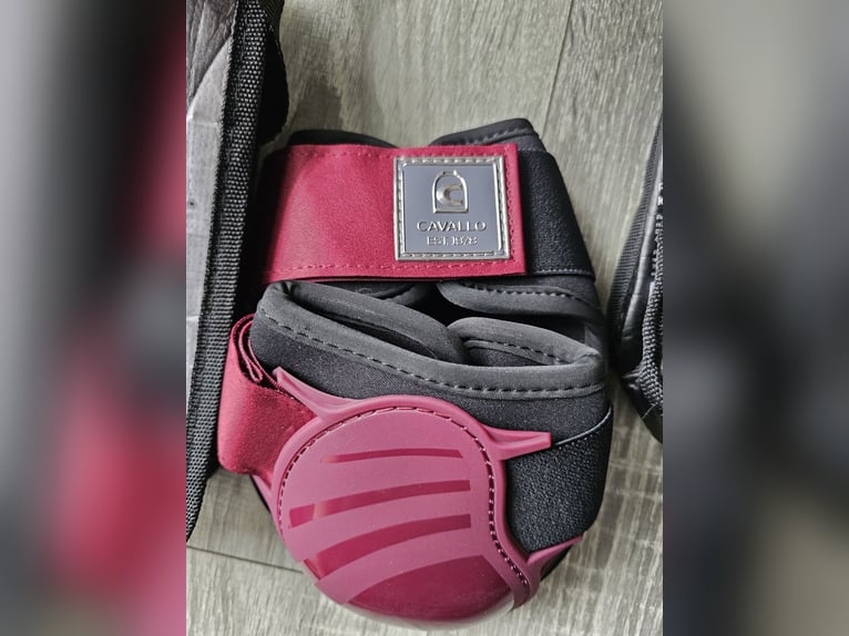 Cavallo Gamaschen  und Streichkappen *Neu*