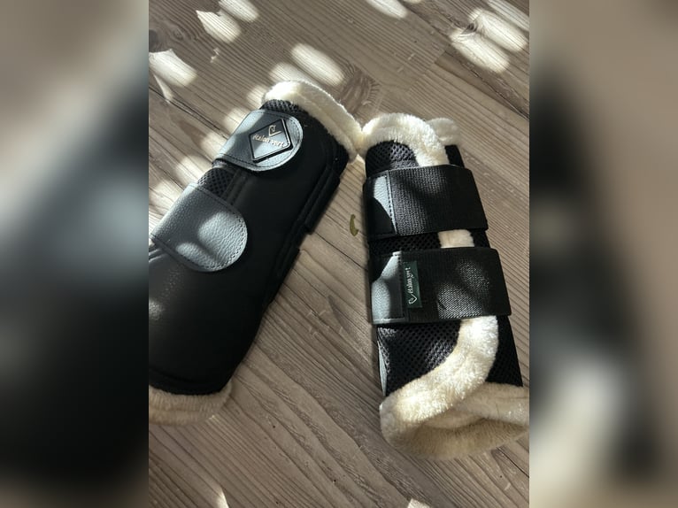 Dressurgamaschen Etalon Vert vorne Vollblut