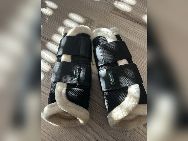 Dressurgamaschen Etalon Vert vorne Vollblut