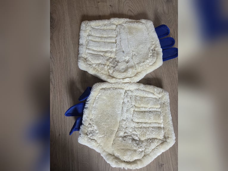 dressurgamaschen ridersdeal