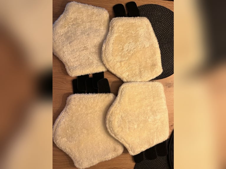 Dressurgamaschen set von Showmaster 