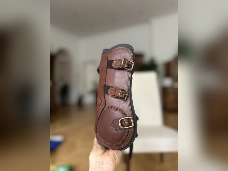 Dyon Leder Dressur-Gamaschen – braun – mit zwei Innenpads