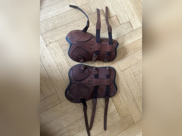 Dyon Leder Dressur-Gamaschen – braun – mit zwei Innenpads