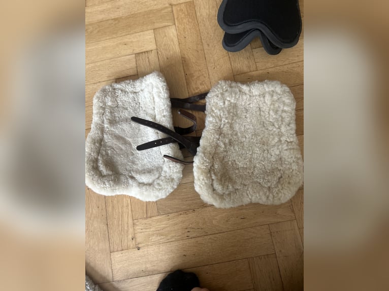 Dyon Leder Dressur-Gamaschen – braun – mit zwei Innenpads