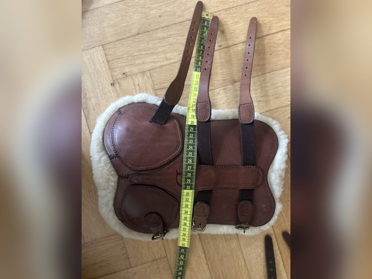 Dyon Leder Dressur-Gamaschen – braun – mit zwei Innenpads