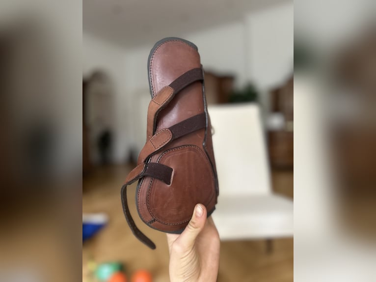 Dyon Leder Dressur-Gamaschen – braun – mit zwei Innenpads