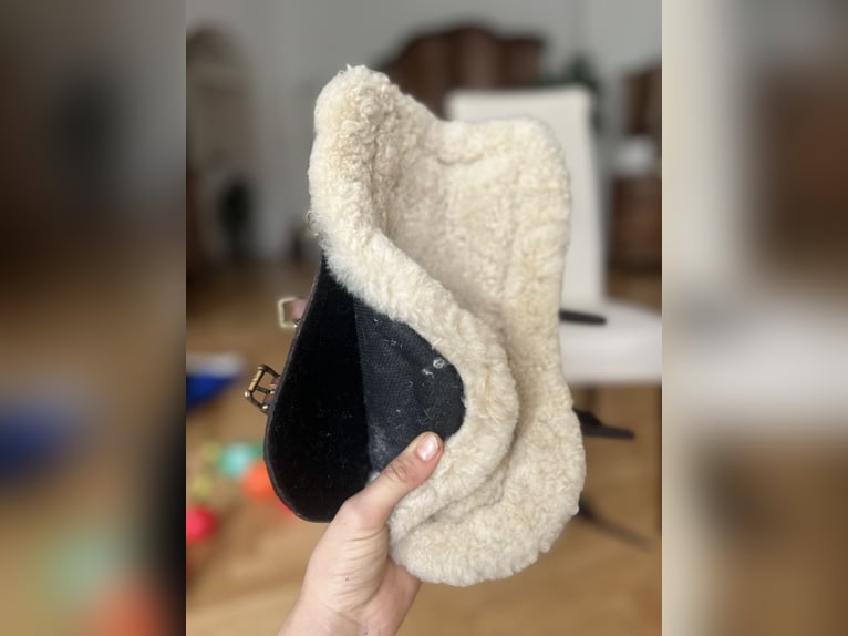 Dyon Leder Dressur-Gamaschen – braun – mit zwei Innenpads