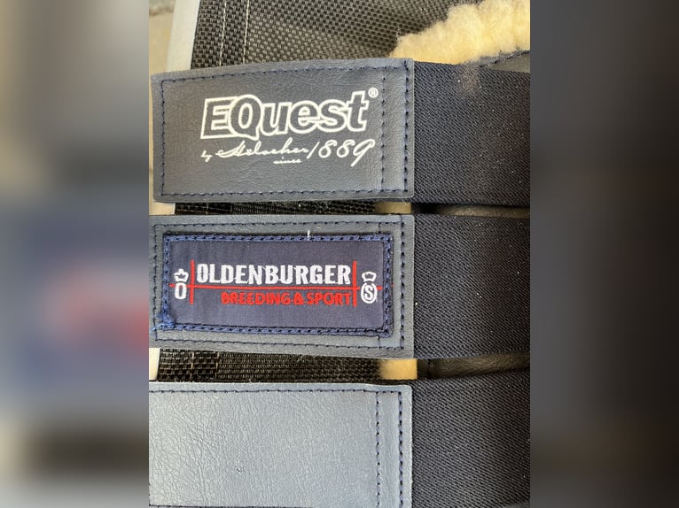 EQuest Dressurgamaschen (Oldenburger Verband)