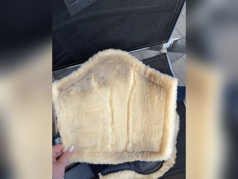 EQuest Dressurgamaschen (Oldenburger Verband)