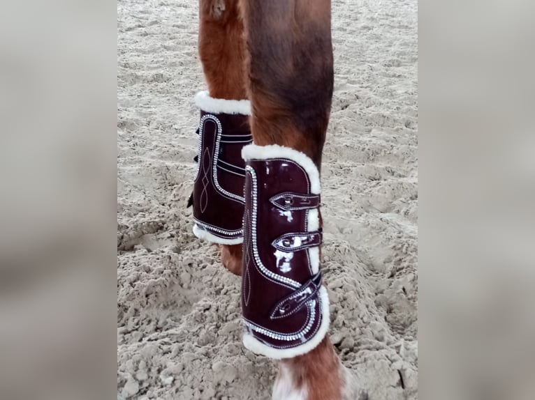 Gamaschen Set mit Lammfell in Lackoptik und Strasssteinchen