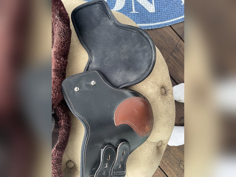 Gamaschen Set von Kentaurer (inkl. Streichkappen) Gamaschen Set von Kentaurer (inkl. Streichkappen)