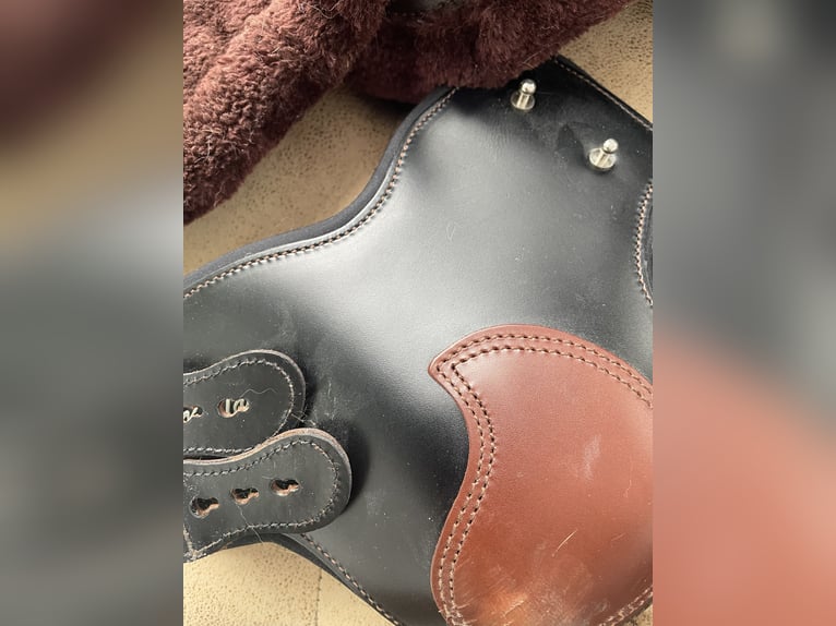 Gamaschen Set von Kentaurer (inkl. Streichkappen) Gamaschen Set von Kentaurer (inkl. Streichkappen)