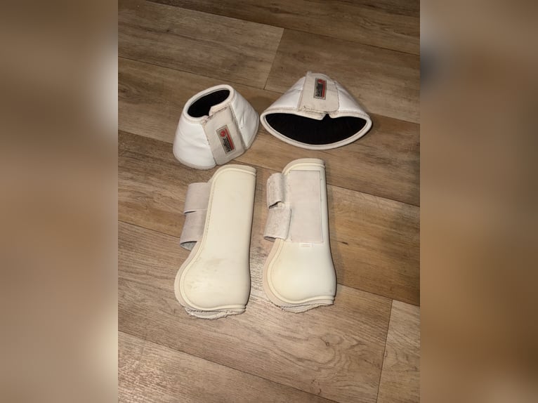 Gamaschen/hufglocken